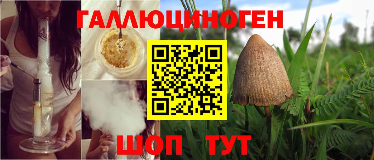 Псилоцибиновые грибы GOLDEN TEACHER  наркотики  Вход с VPN  Орёл  Галлюциногенные грибы мицелий 