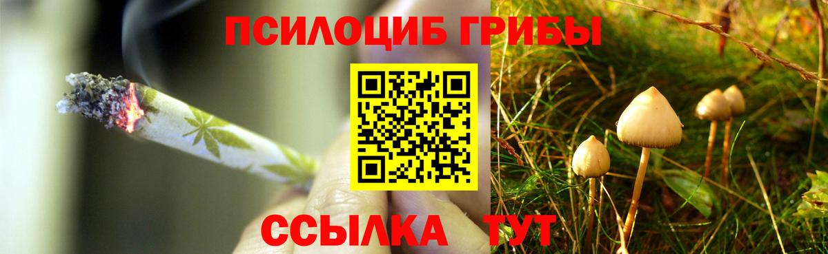 Галлюциногенные грибы Cubensis Орёл