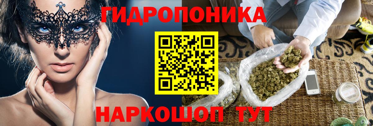 Каннабис планчик Орёл
